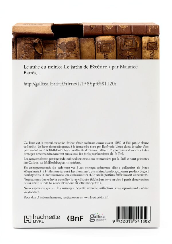 Libro Hachette Livre Romanzo storico 343 pagine-1