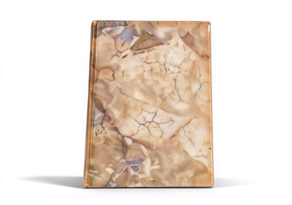Libro storico Generic 334 pagine stampa classica-1